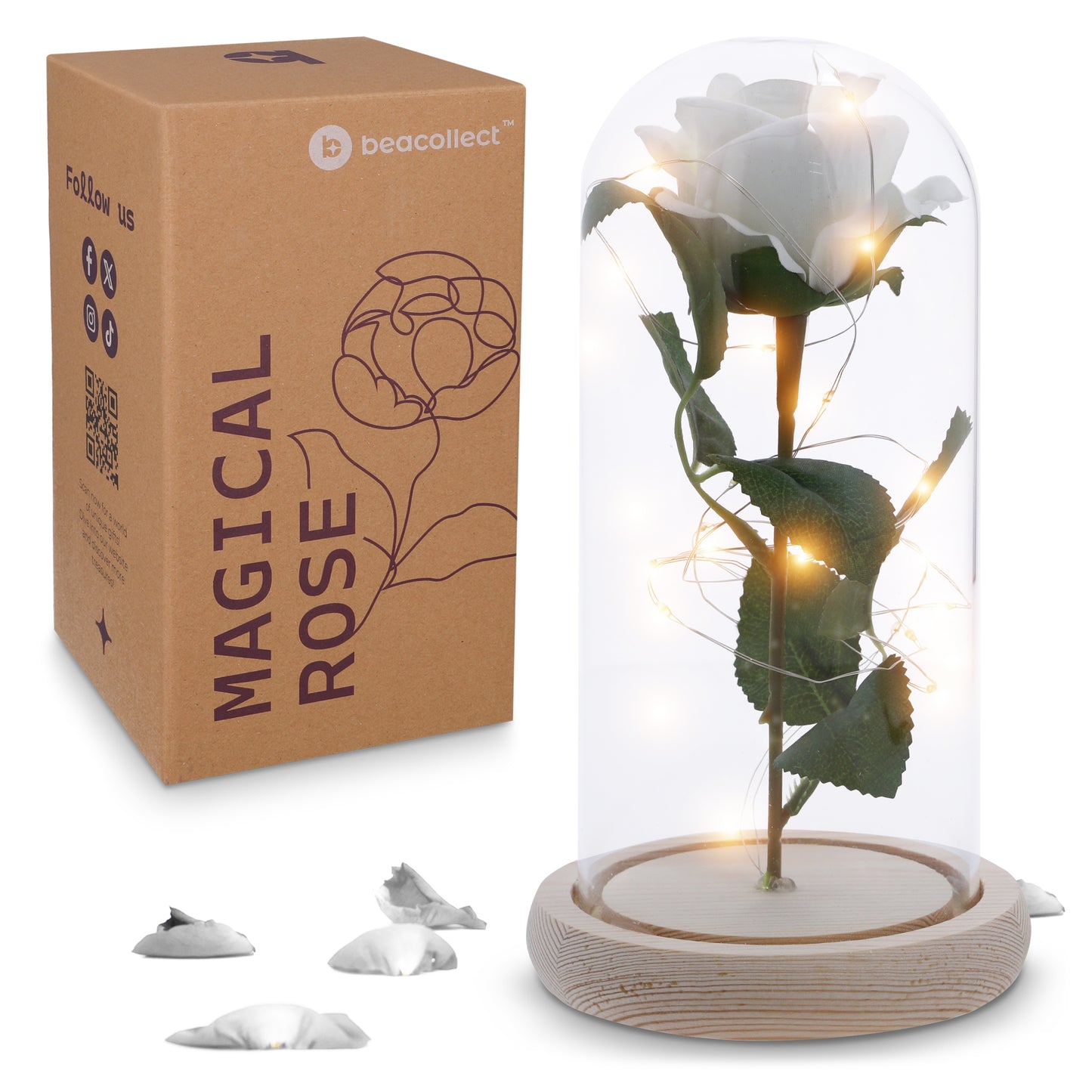 Beauty and the Beast Rose Decor Gift - Ideal for Bookshelf Home Library - Flower in Glass Dome, Light Up Rose Lamp - Beauty and the Beast Gifts, Beauty and the Beast Decor, Party Decorations