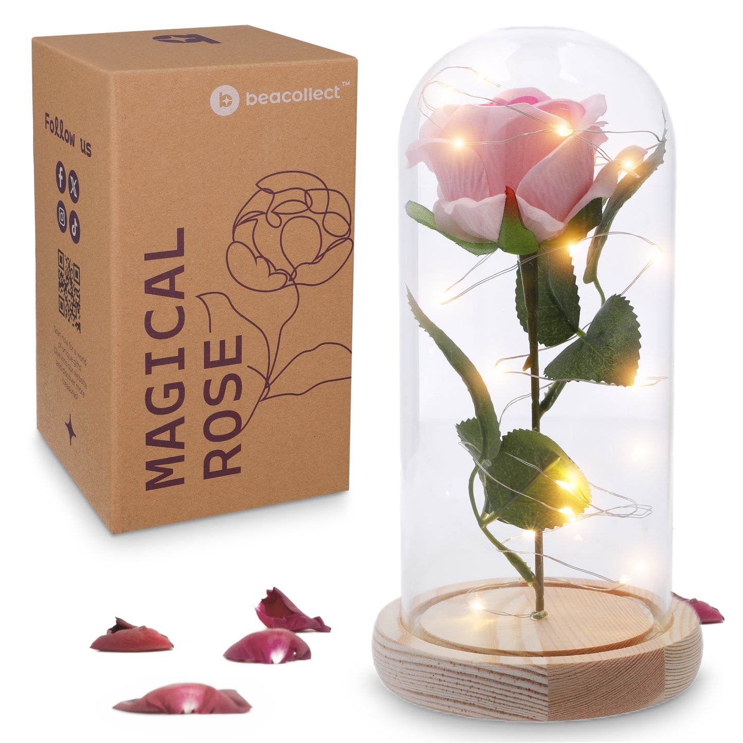 Beauty and the Beast Rose Decor Gift - Ideal for Bookshelf Home Library - Flower in Glass Dome, Light Up Rose Lamp - Beauty and the Beast Gifts, Beauty and the Beast Decor, Party Decorations